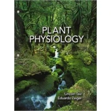 Plant Physiology